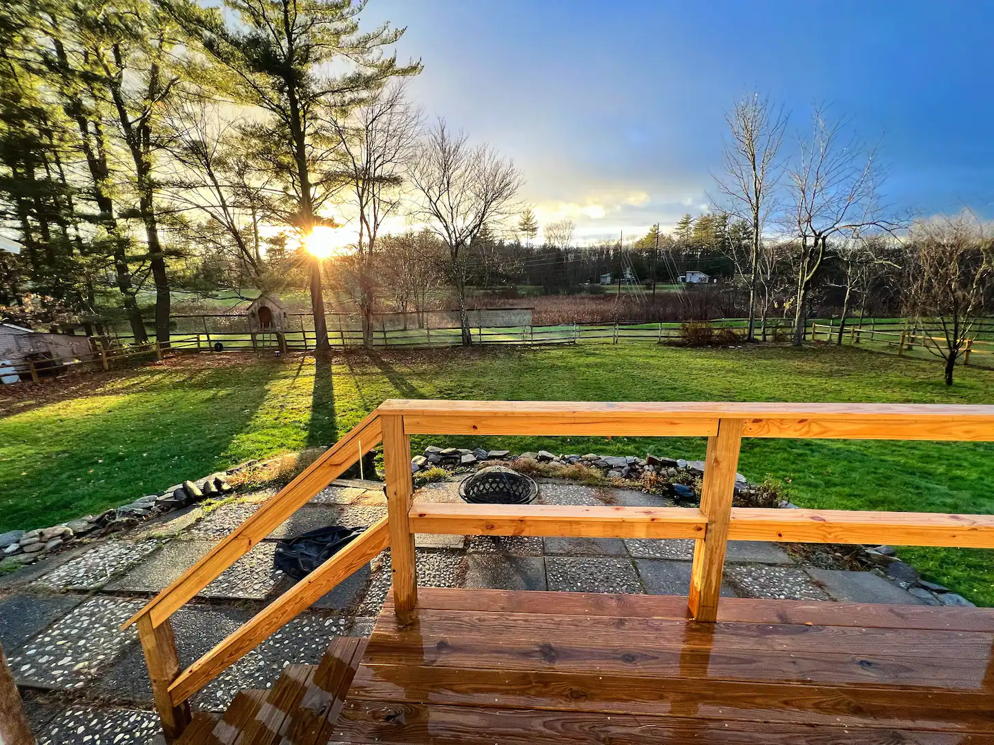 Backyard at golden hour
